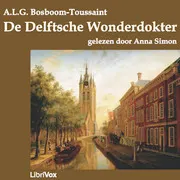 De Delftsche Wonderdokter