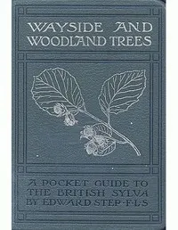 Wayside and woodland trees: a pocket guide to the British sylva