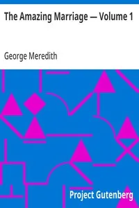 The Amazing Marriage — Volume 1
