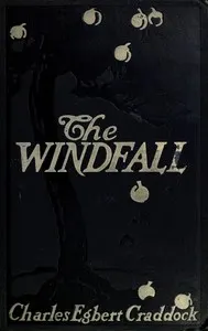 The windfall: a novel