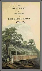 The heathery; or, A monograph of the genus Erica. vol. 4