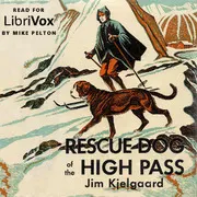 Rescue Dog of the High Pass