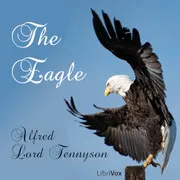 The Eagle