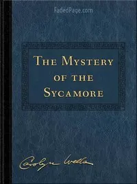 The Mystery of the Sycamore