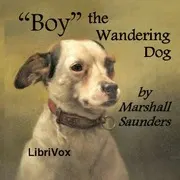 Boy, The Wandering Dog