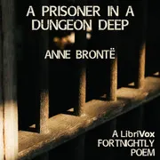 A Prisoner In A Dungeon Deep