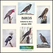 Birds, Vol. III, No 1, January 1898