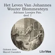 Het leven van Johannes Wouter Blommesteyn - deel 1