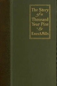 The Story of a Thousand-Year Pine
