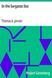 In the Sargasso Sea: A Novel