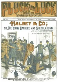 Halsey & Co.: or, The Young Bankers and Speculators