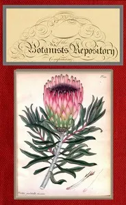 The botanist's repository for new and rare plants; vol. 07 of 10