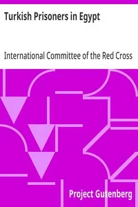 Turkish Prisoners in Egypt: A Report by the Delegates of the International Committee of the Red Cross