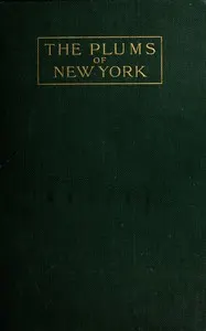 The plums of New York