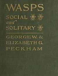 Wasps, Social and Solitary