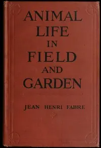 Animal Life in Field and Garden