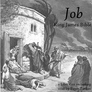 Bible (KJV) 18: Job (version 2)