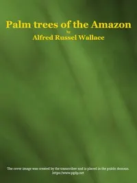 Palm trees of the Amazon and their uses