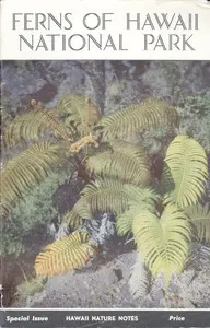 Ferns of Hawaii National Park
