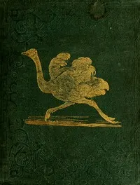 Tales About Birds, Illustrative of Their Nature, Habits, and Instincts