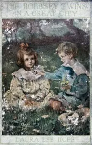 The Bobbsey Twins in a Great City