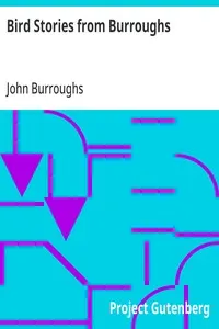 Bird Stories from Burroughs: Sketches of Bird Life Taken from the Works of John Burroughs