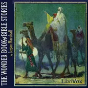 The Wonder Book of Bible Stories