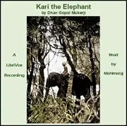Kari the Elephant