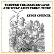Through the Looking-glass and What Alice Found There