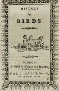 History of Birds
