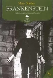 Frankenstein, or The Modern Prometheus