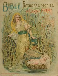 Bible pictures and stories in large print