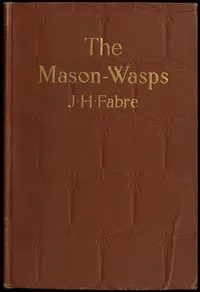The Mason-Wasps