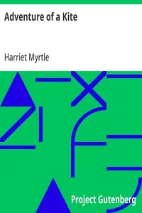 Adventure of a Kite