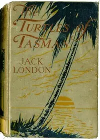 The Turtles of Tasman