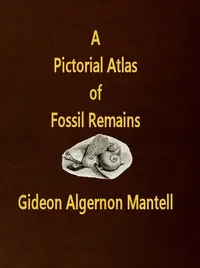 A Pictorial Atlas of Fossil Remains, consisting of coloured illustrations selected from Parkinson's "Organic remains of a former world," and Artis's "Antediluvian phytology."