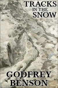 Tracks in the snow: Being the history of a crime