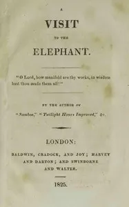A visit to the elephant