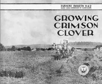 Growing Crimson Clover