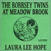 The Bobbsey Twins at Meadow Brook