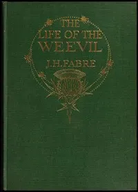The Life of the Weevil