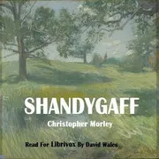 Shandygaff