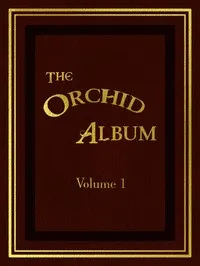 The Orchid Album, Volume 1: Comprising Coloured Figures and Descriptions of New, Rare, and Beautiful Orchidaceous Plants