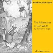 The Adventures of Bob White