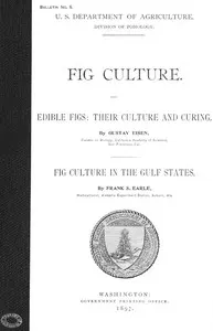 Fig Culture: Edible Figs: Their Culture and Curing. Fig Culture in the Gulf States.