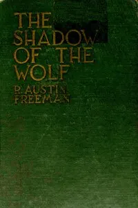The shadow of the Wolf