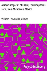 A New Subspecies of Lizard, Cnemidophorus sacki, from Michoacán, México