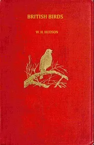British birds