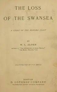 The loss of the Swansea : $b A story of the Florida coast