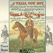 A Texas Cowboy; Or Fifteen Years on the Hurricane Deck of a Spanish Pony